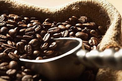 《宝可梦直面会》时长遭泄露 或将成系列最长发布会