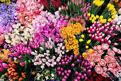 Epic喜加一：《帝国霸业-银河生存》《幸存者苦难》免费